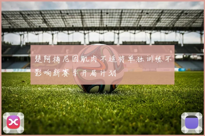 楚阿梅尼因肌肉不适将单独训练不影响新赛季开局计划
